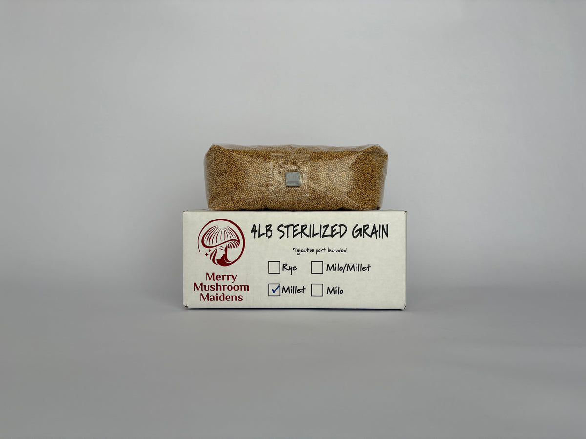 Bulk Sterilized Grain Spawn