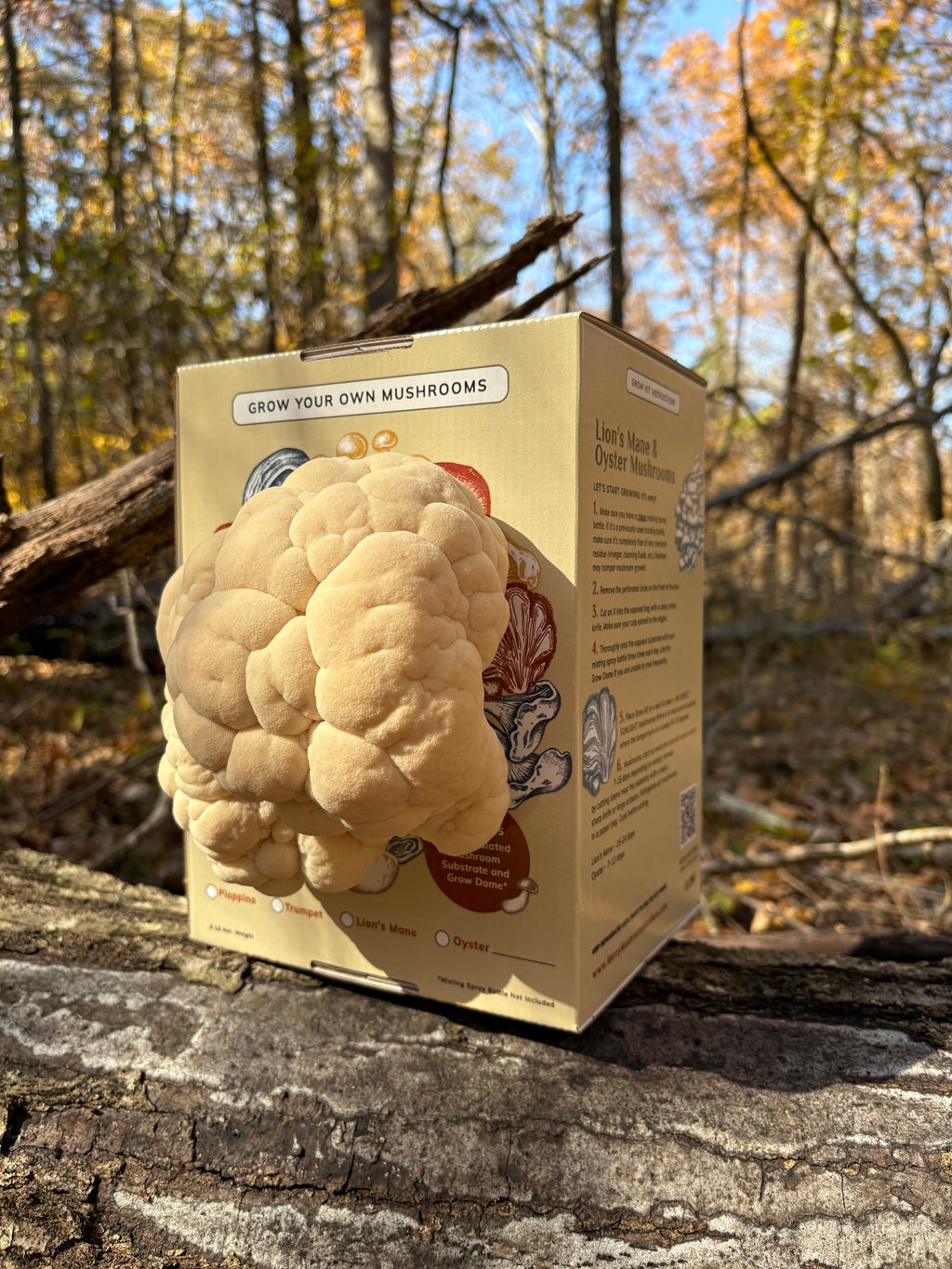 Lion's Mane Grow Kit