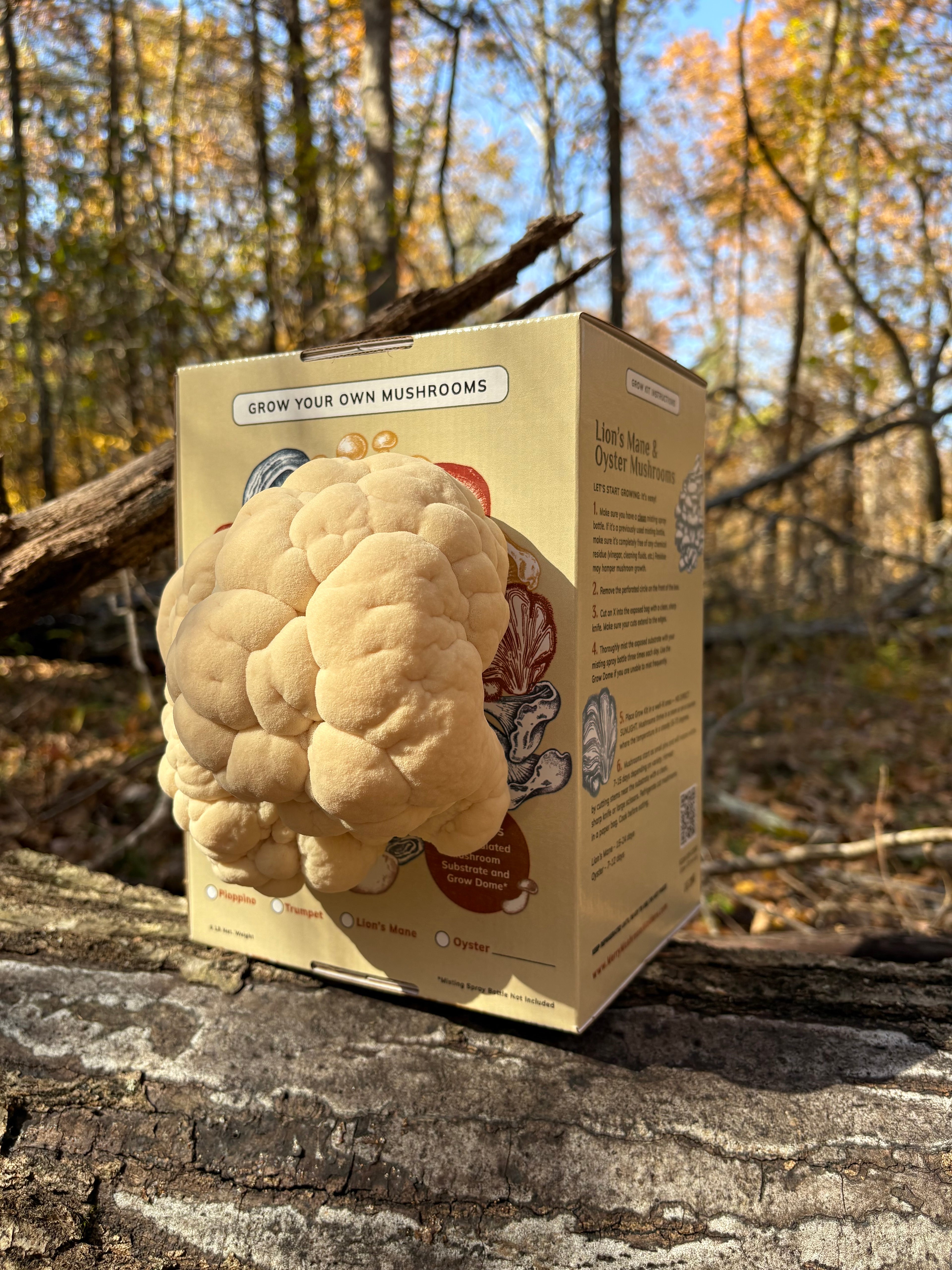 Lion's Mane Grow Kit