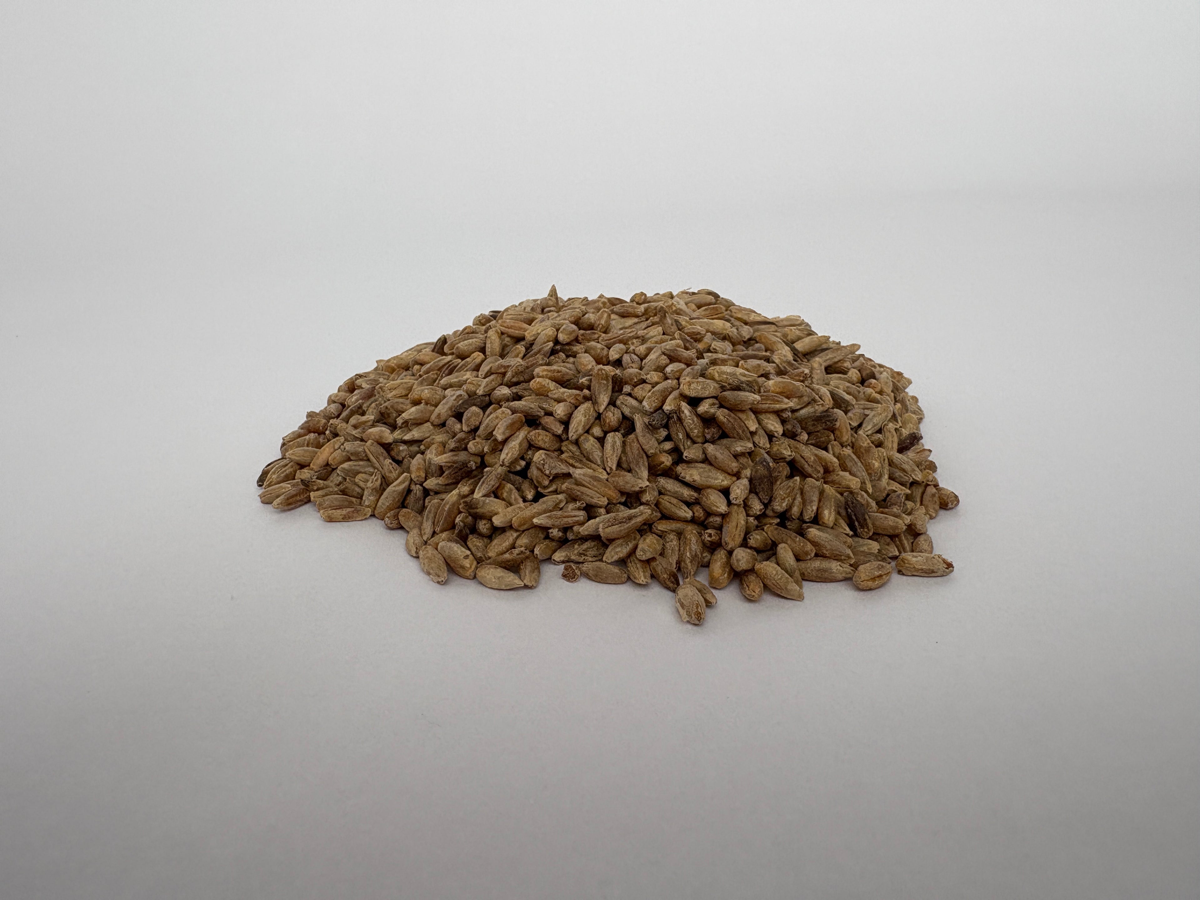 4 LB. Sterilized Rye Grain Spawn with Injection Port