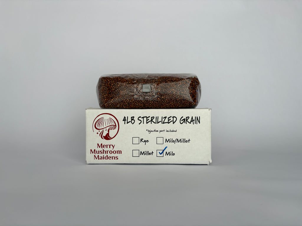 4 Lb. Sterilized Milo Grain Spawn with Injection Port