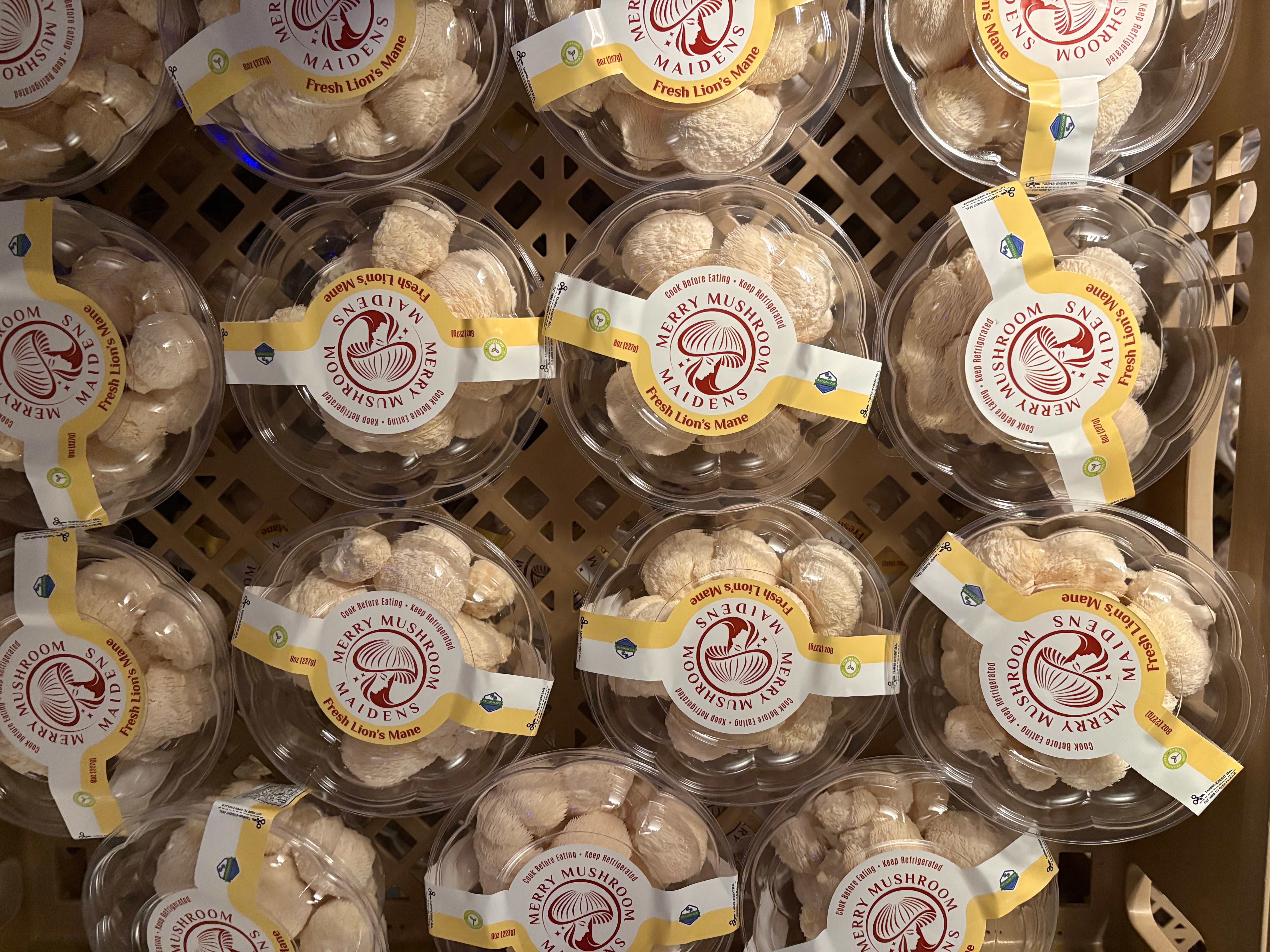 Multiple round clear plastic tubs of Merry  Mushroom Maidens   lions mane mushrooms arranged on a brown lattice shelf. Each tub has a white paper label with yellow accents and a red logo.