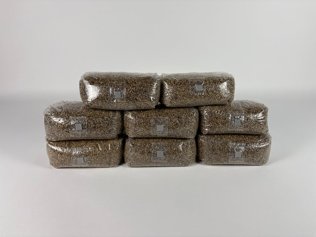 4 LB. Sterilized Rye Grain Spawn with Injection Port 8-pack