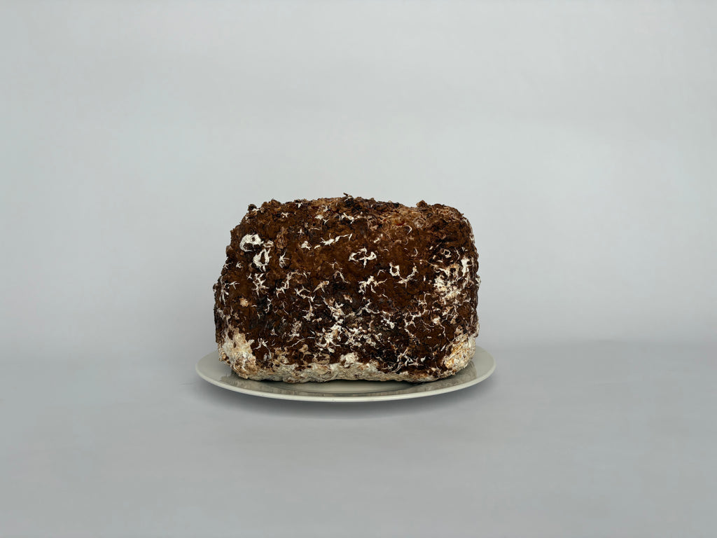 Shiitake Grow Kit