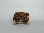 Shiitake Grow Kit