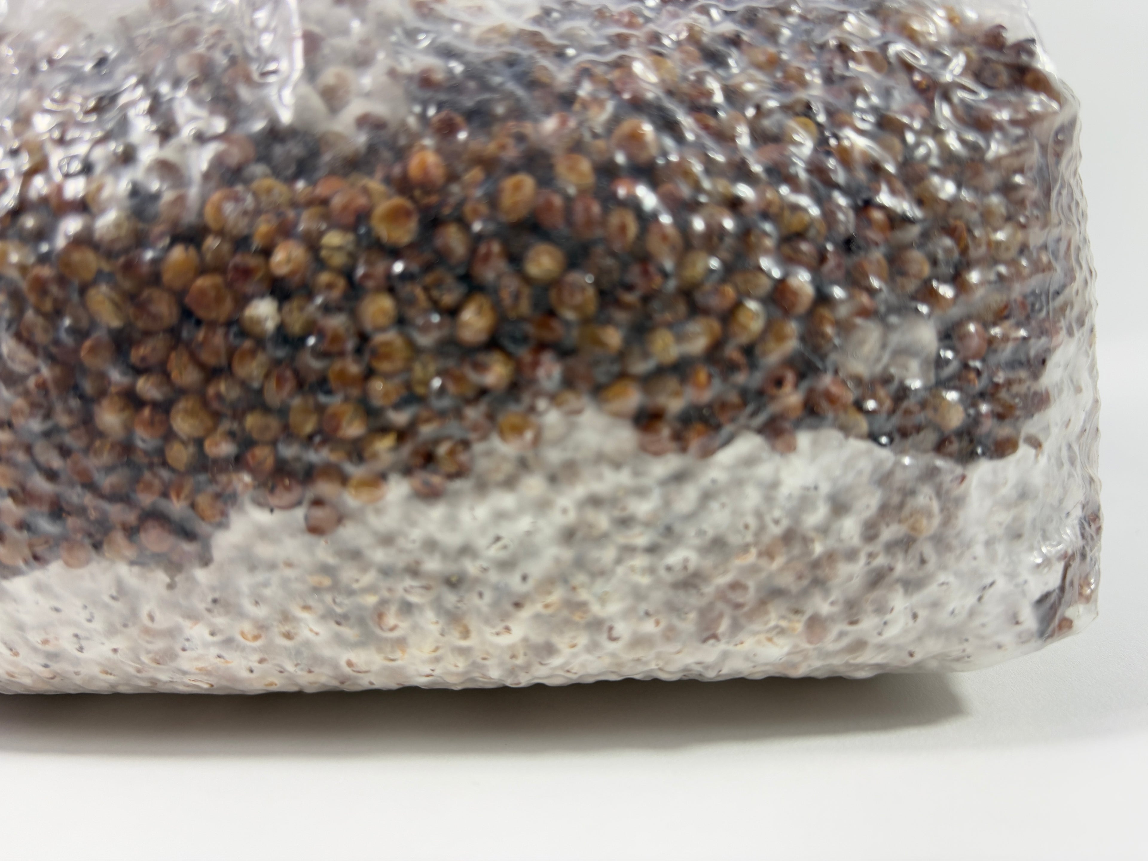 4 LB. Medicinal Colonized Bulk  Grain Spawn
